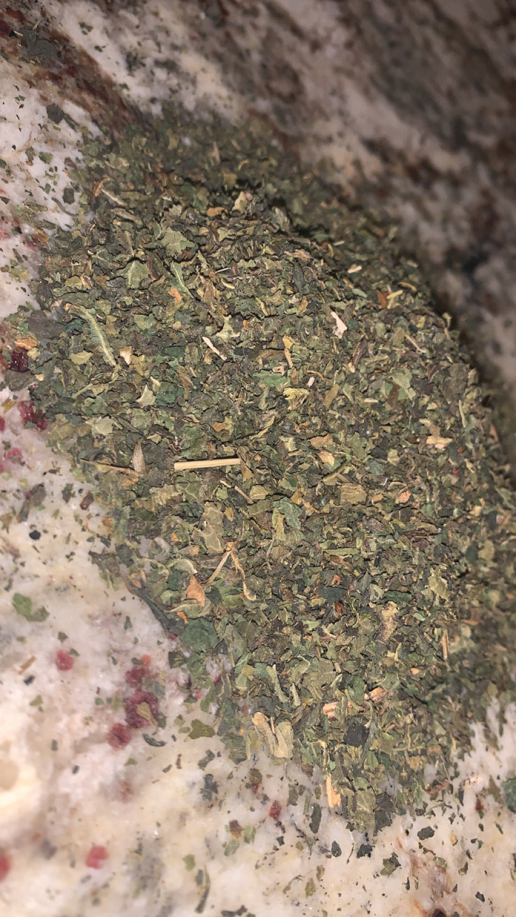 Organic Holy Basil, Tulsi | Dried Holy Basil, Tulsi