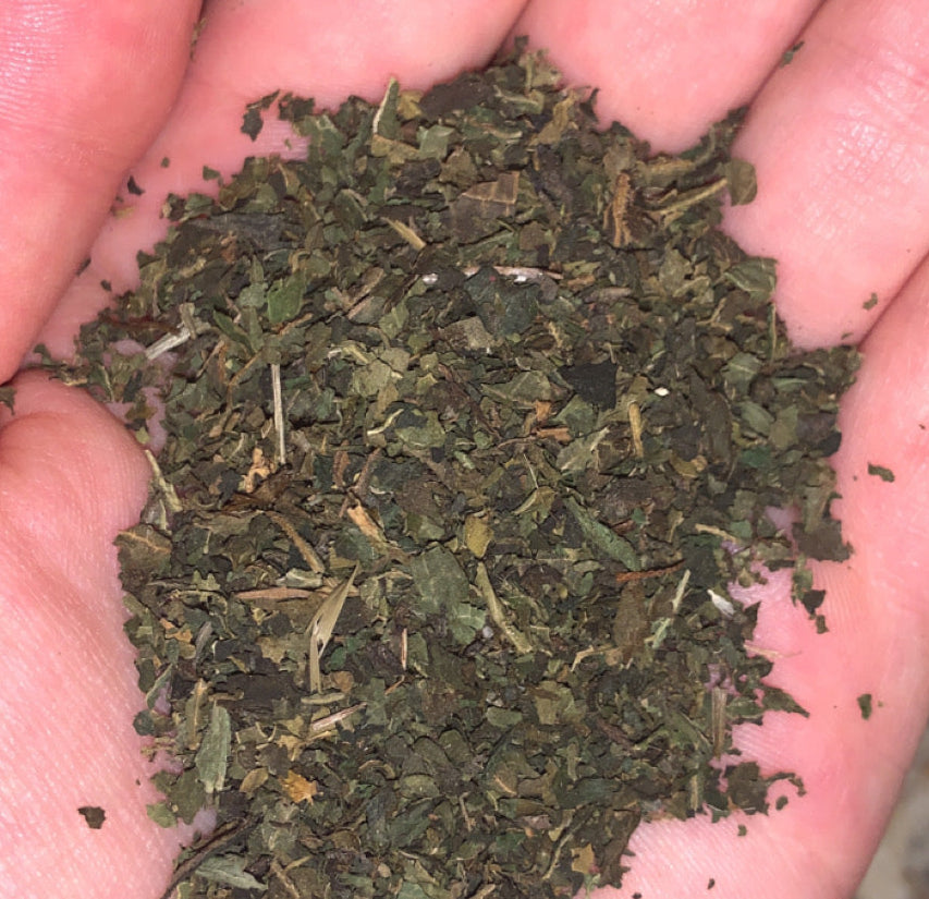 Organic Stinging Nettle | Dried Stinging Nettle