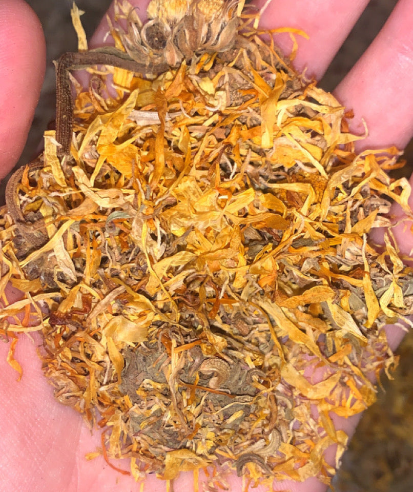 Organic Calendula | Dried Calendula