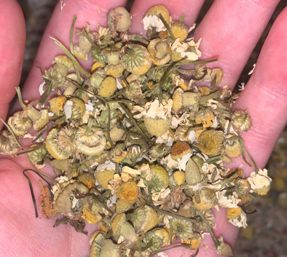 Organic Chamomile Flowers | Dried Chamomile