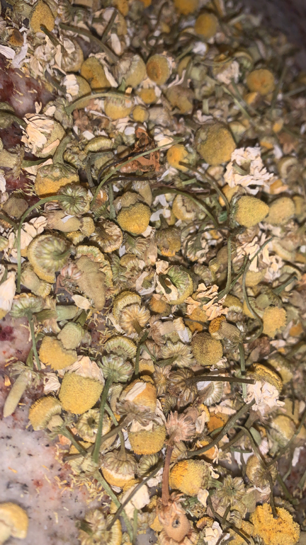 Organic Chamomile Flowers | Dried Chamomile