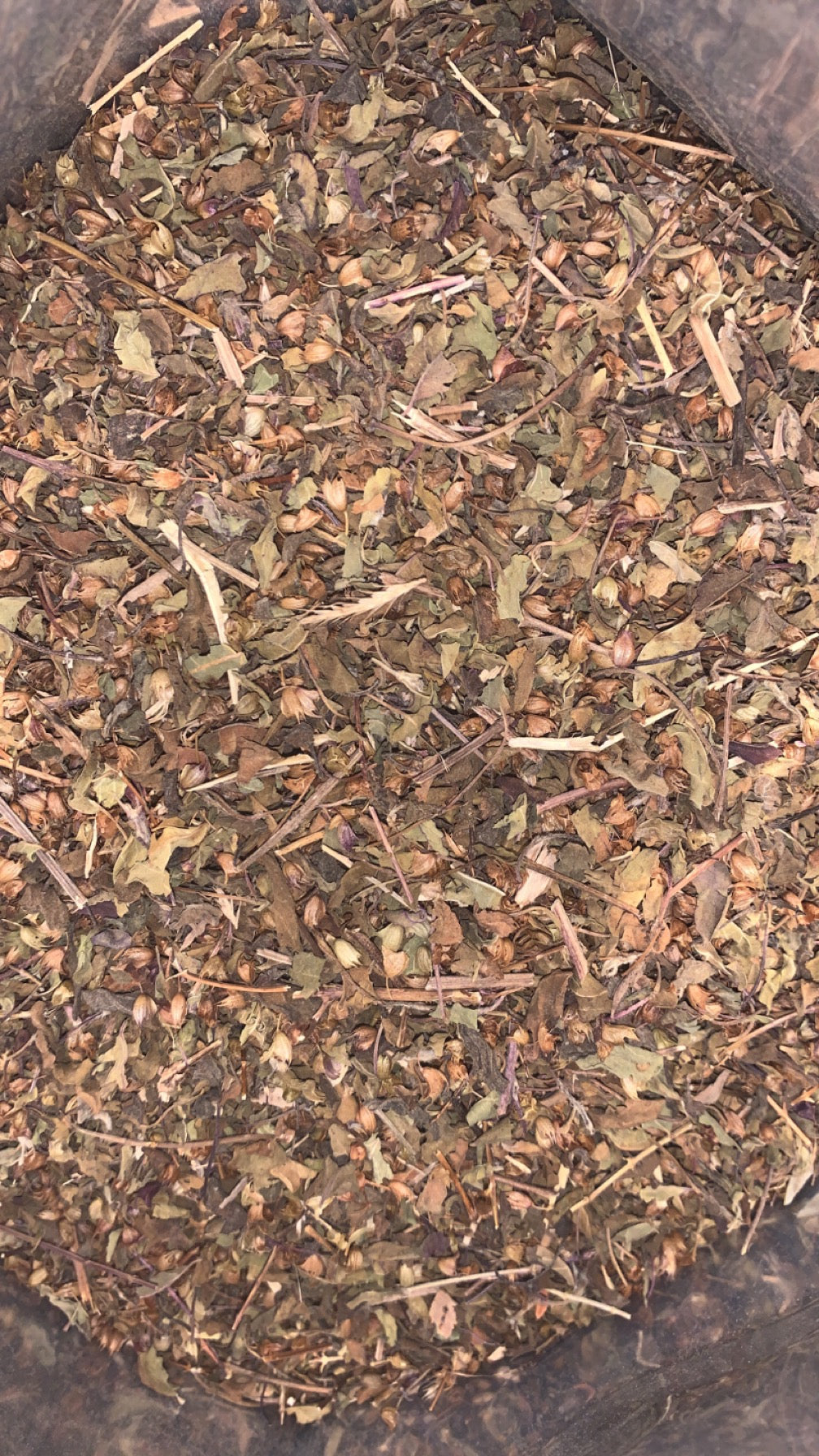 Organic Holy Basil, Tulsi | Dried Holy Basil, Tulsi