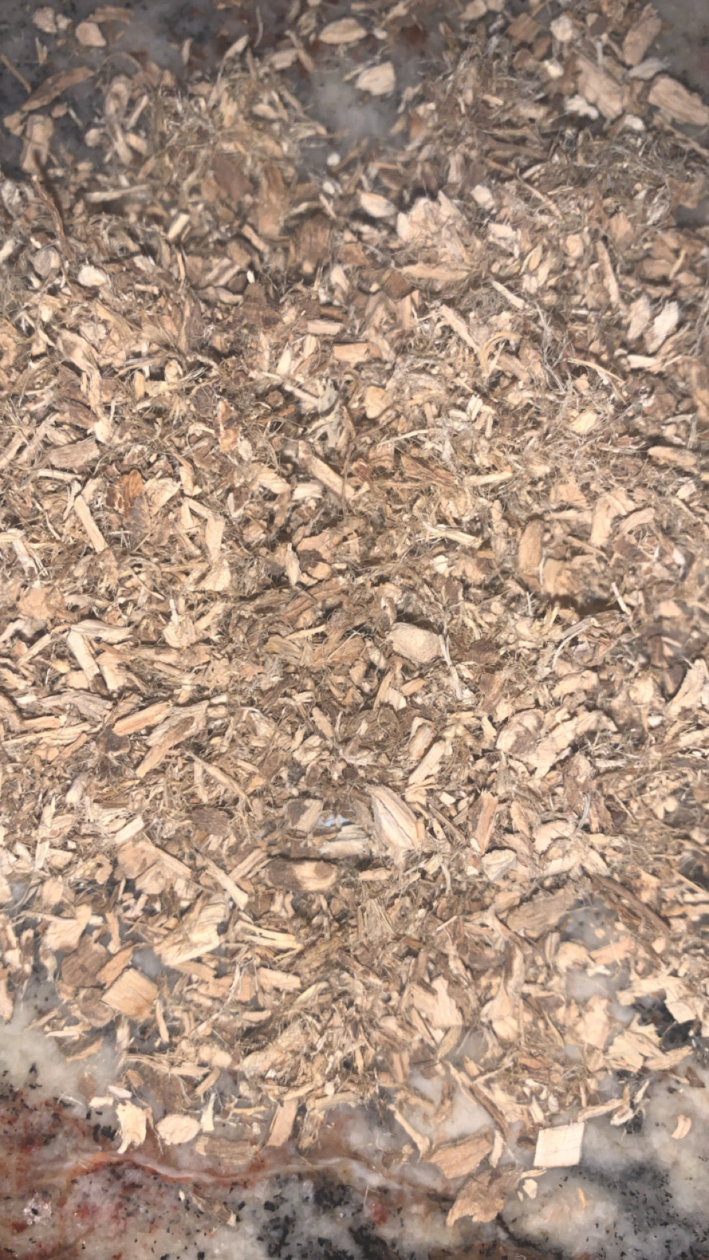Organic Marshmallow Root | Dried Marshmallow Root