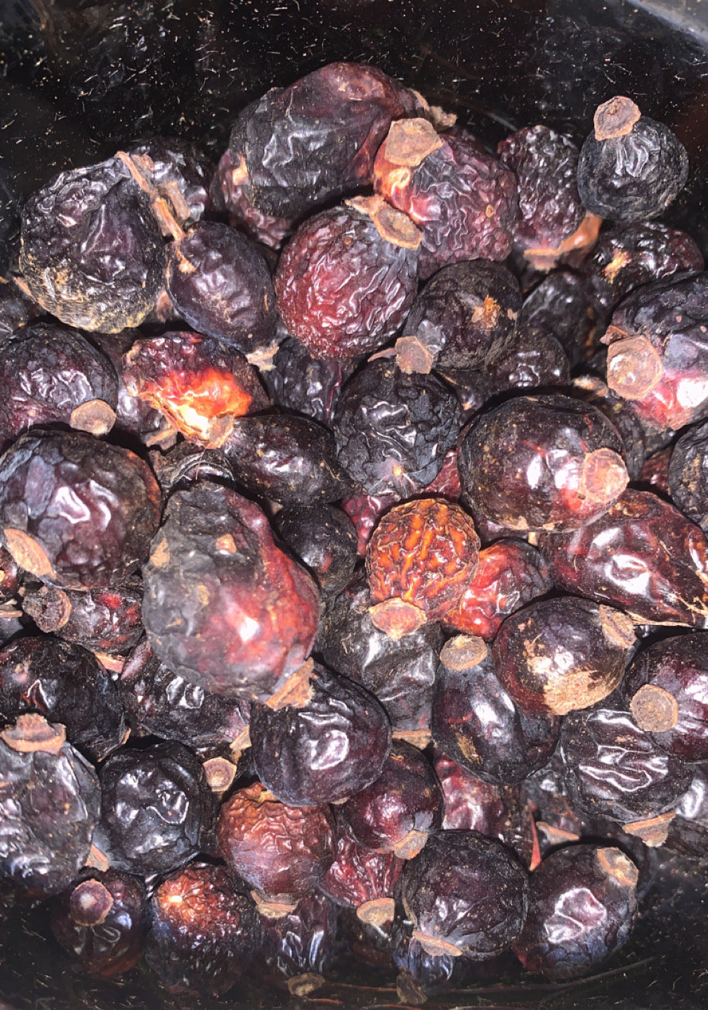 Organic Rosehips | Dried Rosehip Fruits