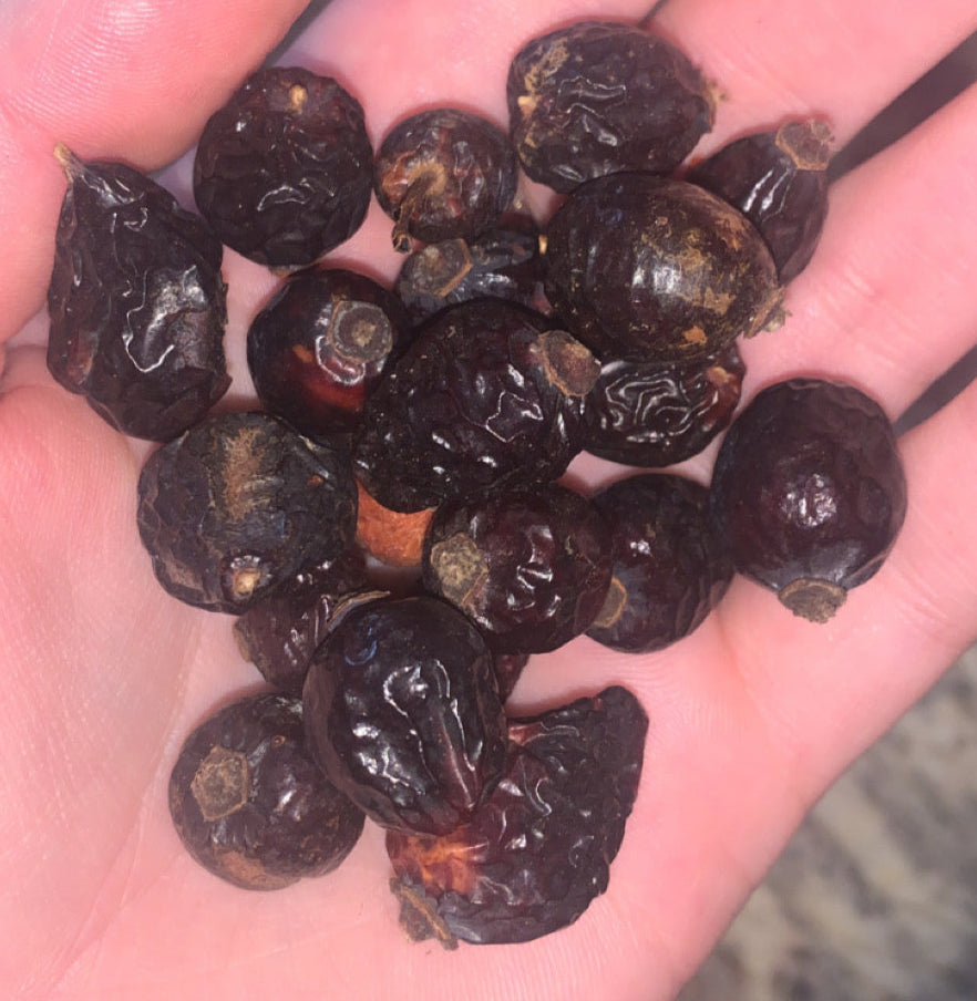 Organic Rosehips | Dried Rosehip Fruits