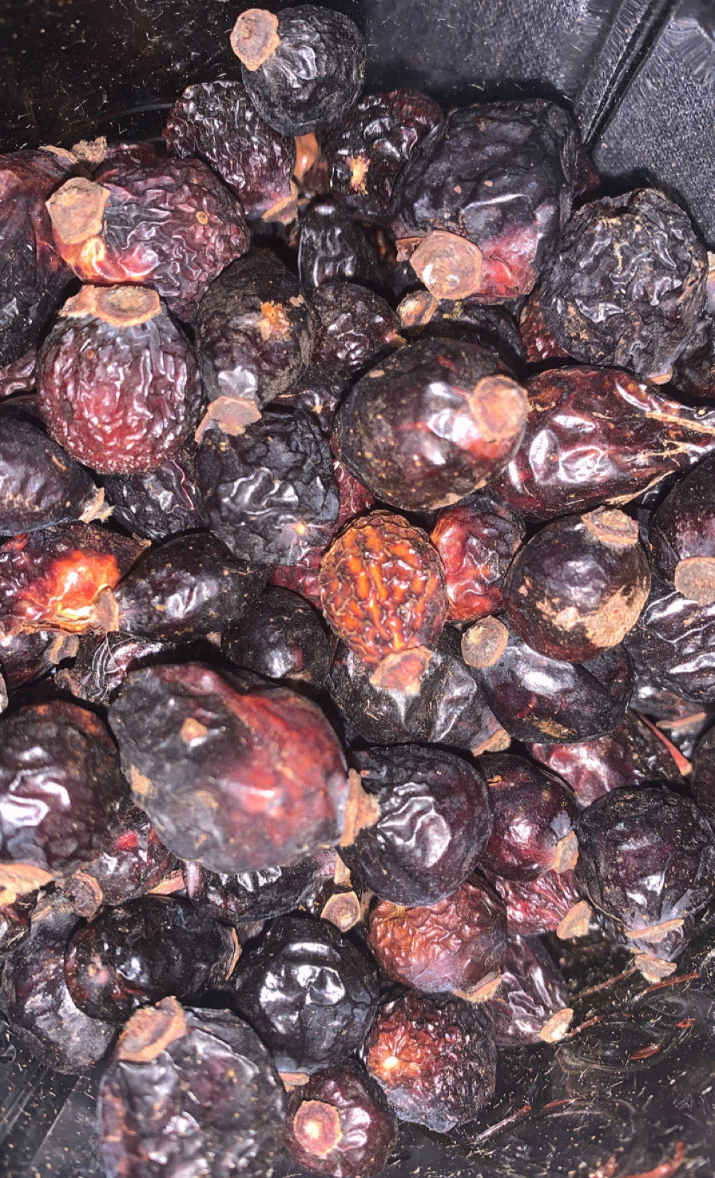 Organic Rosehips | Dried Rosehip Fruits