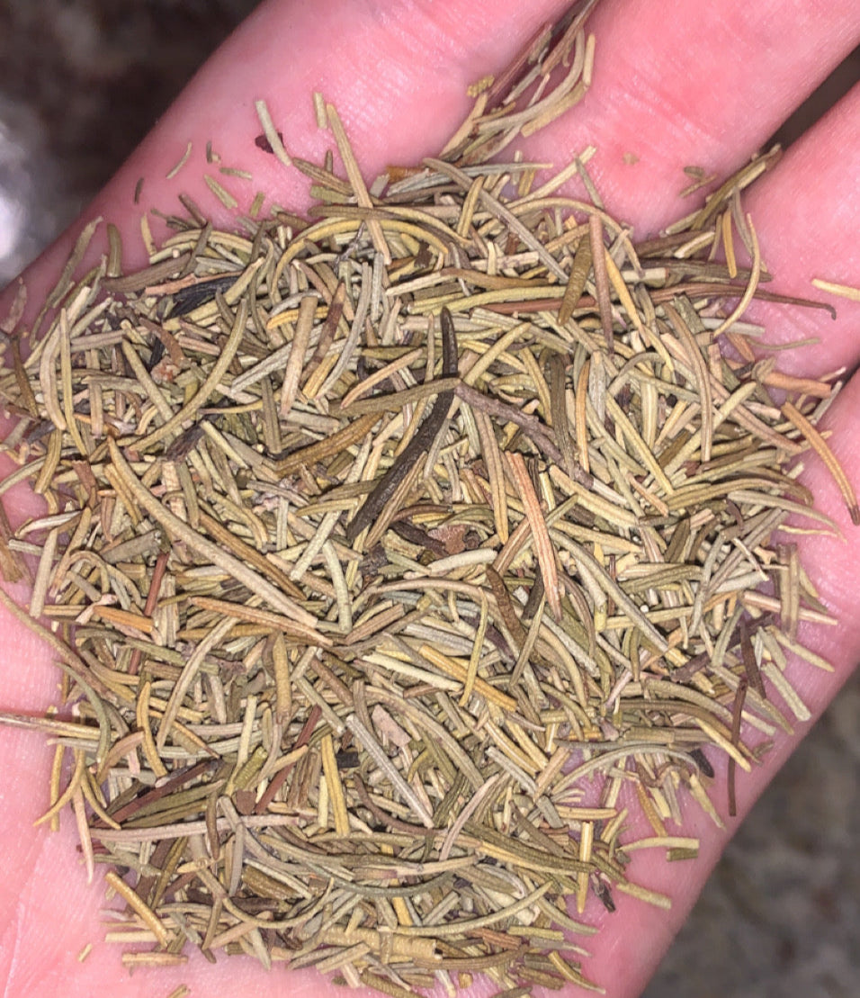 Organic Rosemary Leaves | Dried Rosemary Leaves