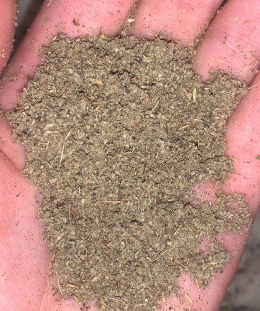 Organic Sage Leaf | Dried Sage