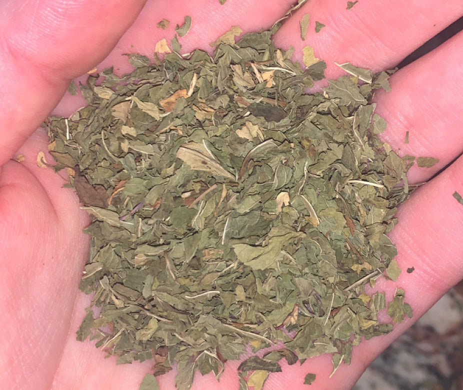 Organic Spearmint | Dried Spearmint