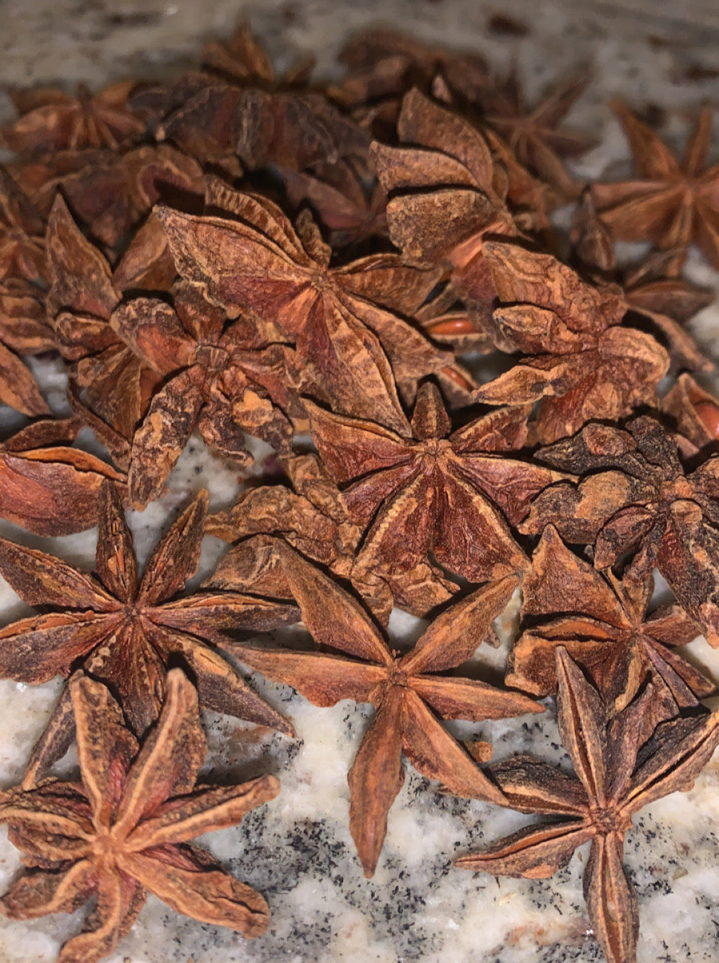 Organic Start Anise | Dried Star Anise