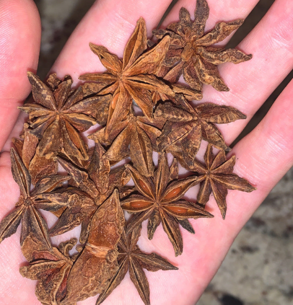 Organic Start Anise | Dried Star Anise